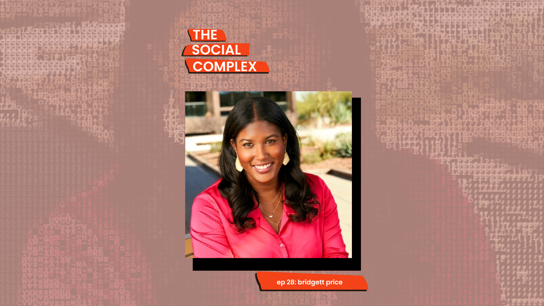 Bridgett Price on The Social Complex Podcast